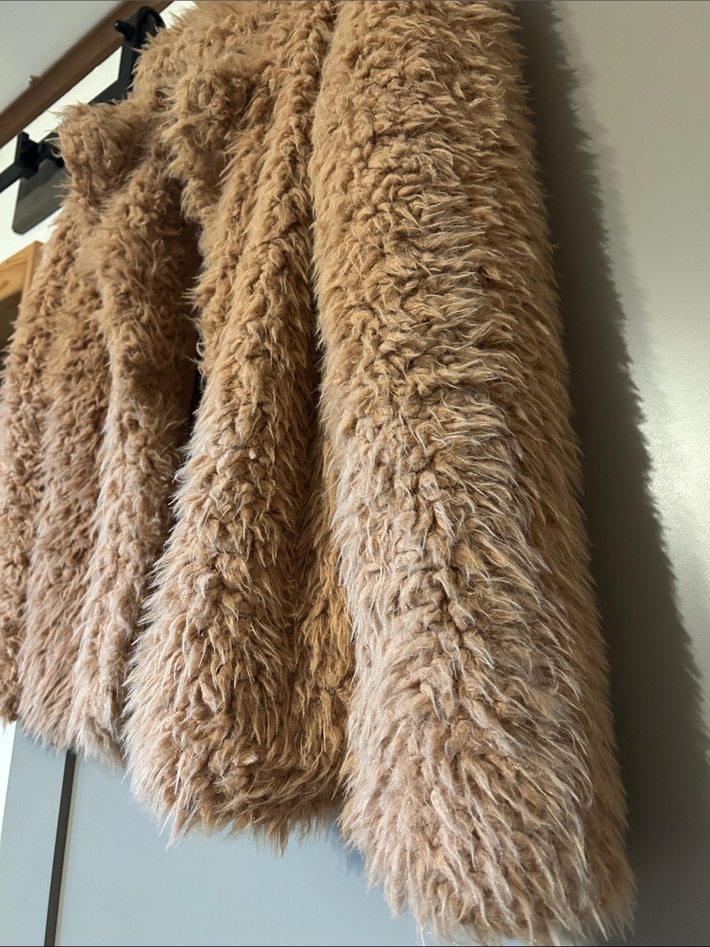 Forever 21 Plush Teddy Jacket in Light Brown